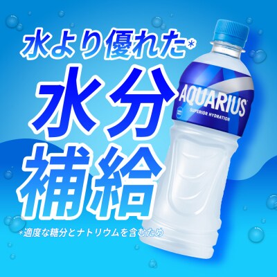 アクエリアス500mlPET×24本_hs137-002