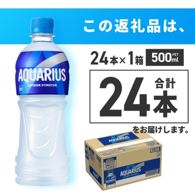 アクエリアス500mlPET×24本_hs137-002