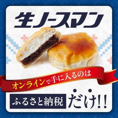【2025年11月発送】千秋庵・生ノースマン 4個入り 4箱(合計16個)_hs178-002-11