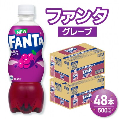 ファンタ グレープ 500mlPET×48本(2ケース)_hs137-083