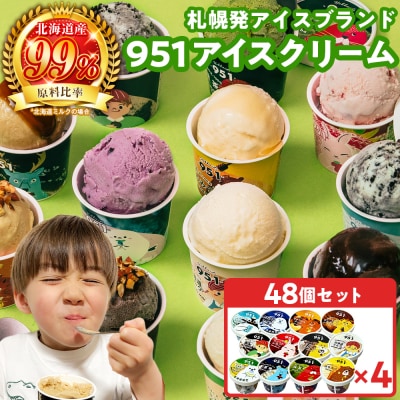 951アイスクリーム　48個セット_hs359-006
