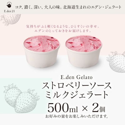 ジェラート ストロベリーソースミルクジェラート 500ml 2個_hs309-002