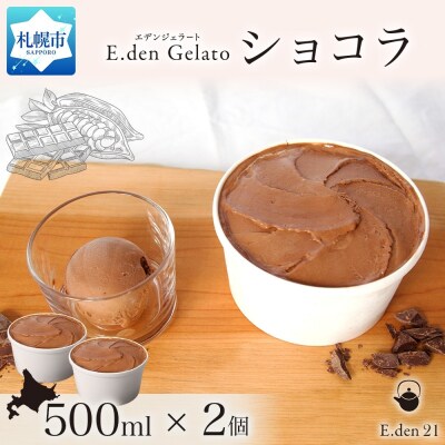 ジェラート ショコラ 500ml 2個_hs309-006
