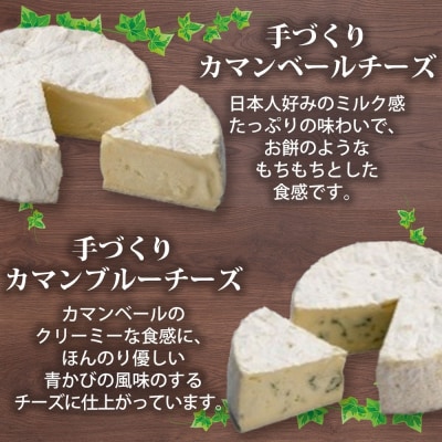 北海道小林牧場物語手づくりチーズセット_hs323-001