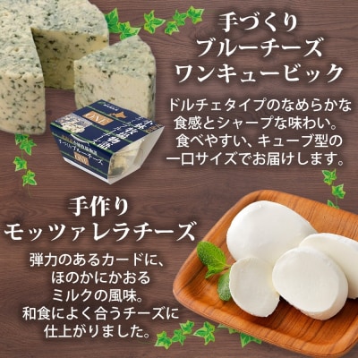 北海道小林牧場物語手づくりチーズセット_hs323-001