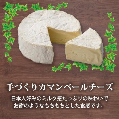 北海道小林牧場物語カマンベール・バターギフトセット_hs323-003