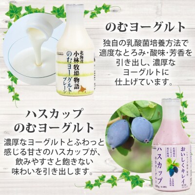 北海道小林牧場物語チーズ・ヨーグルトセット_hs323-004