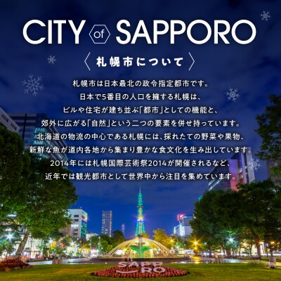 【先行予約】北海道プレミアムおせち　三段重　2026年正月用_hs027-008