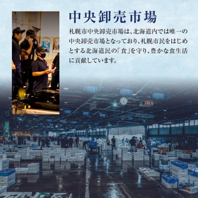 【先行予約】北海道プレミアムおせち　三段重　2026年正月用_hs027-008