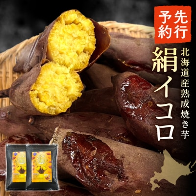 【先行予約】北海道産熟成焼き芋絹イコロ_hs397-002
