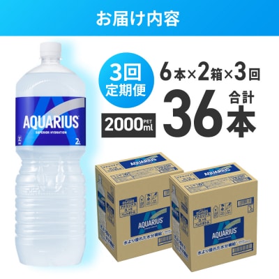 【3ヶ月定期便】アクエリアス　2000mlPET×12本_hs137-101
