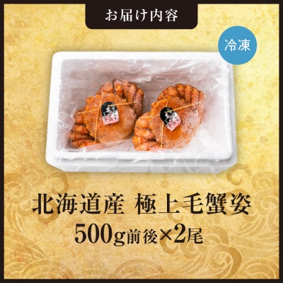 極上毛蟹姿　500g前後×2尾セット_hs408-002