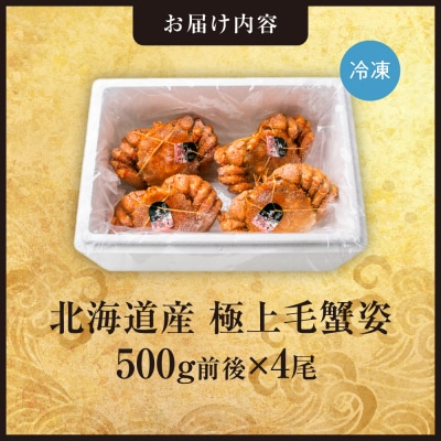 極上毛蟹姿　500g前後×4尾セット_hs408-004