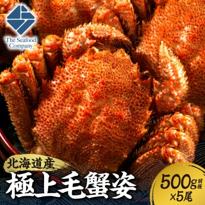 極上毛蟹姿　500g前後×5尾セット_hs408-005