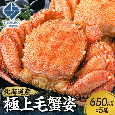 極上毛蟹姿　650g前後×5尾セット_hs408-010
