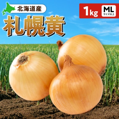 札幌黄 玉ねぎ 北海道産 1kg MLサイズ以上_hs362-021