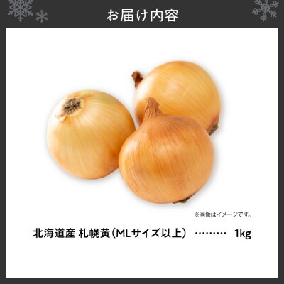 札幌黄 玉ねぎ 北海道産 1kg MLサイズ以上_hs362-021