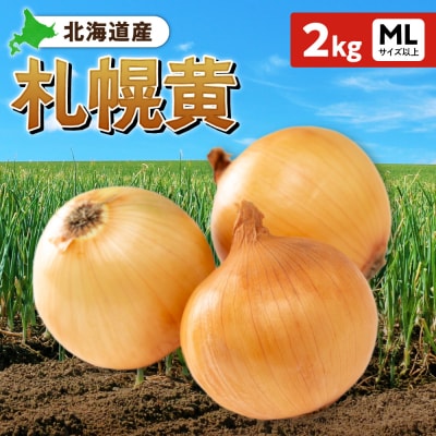 札幌黄 玉ねぎ 北海道産 2kg MLサイズ以上_hs362-022