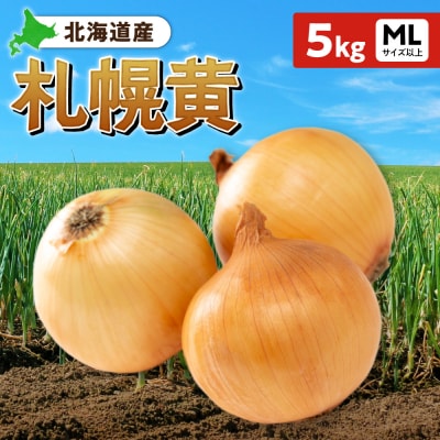 札幌黄 玉ねぎ 北海道産 5kg MLサイズ以上_hs362-023