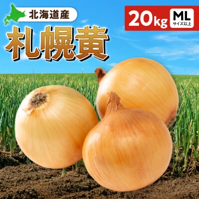 札幌黄 玉ねぎ 北海道産 20kg MLサイズ以上_hs362-025