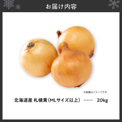 札幌黄 玉ねぎ 北海道産 20kg MLサイズ以上_hs362-025