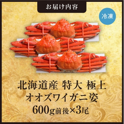 北海道産特大極上オオズワイガニ姿　600g前後×3尾_hs408-018