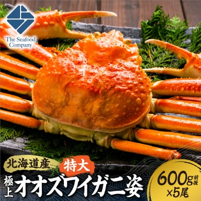 北海道産特大極上オオズワイガニ姿　600g前後×5尾_hs408-020