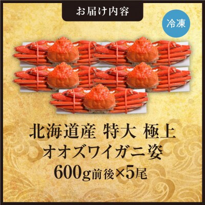 北海道産特大極上オオズワイガニ姿　600g前後×5尾_hs408-020
