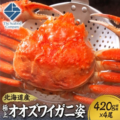北海道産極上オオズワイガニ姿 420g前後×4尾セット_hs408-024