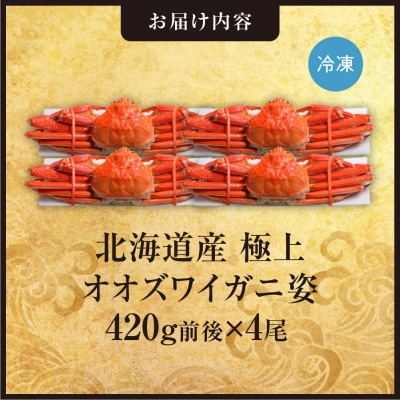 北海道産極上オオズワイガニ姿 420g前後×4尾セット_hs408-024