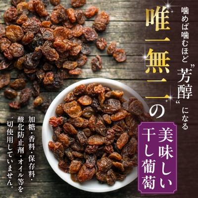 北海道完全無添加干し葡萄 DIONYSOS2種セット 計3箱_hs127-007