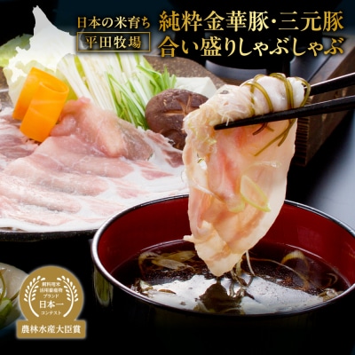 日本の米育ち平田牧場純粋金華豚・三元豚合い盛りしゃぶしゃぶ_hs394-004