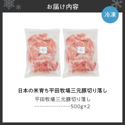 日本の米育ち平田牧場三元豚切り落し500g×2_hs394-005