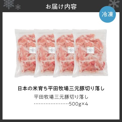 日本の米育ち平田牧場三元豚切り落し500g×4_hs394-006
