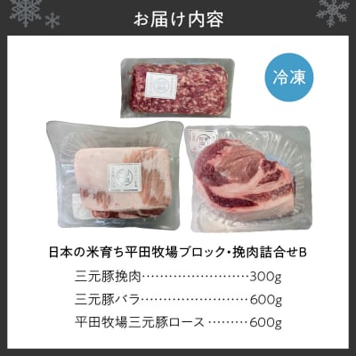 日本の米育ち平田牧場ブロック・挽肉詰合せB_hs394-011
