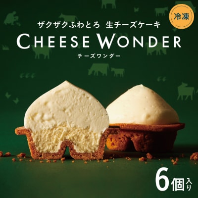 CHEESE WONDER　6個入_hs482-032