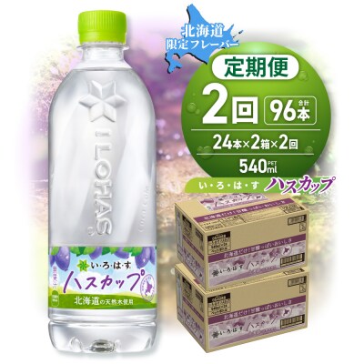 【2ヶ月定期便】い・ろ・は・す ハスカップ　540mlPET×48本_hs137-118