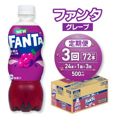 【3ヶ月定期便】ファンタ グレープ 500mlPET×24本_hs137-207
