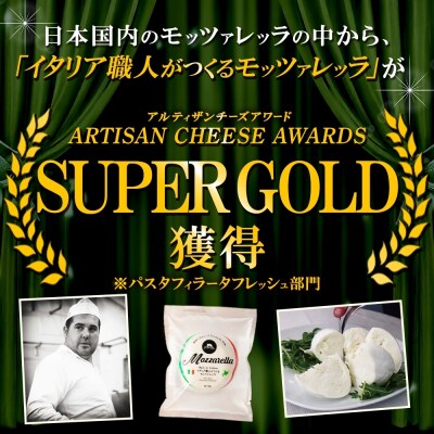 モッツァレラ 100g×5_hs324-003