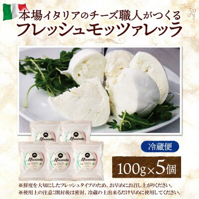 モッツァレラ 100g×5_hs324-003