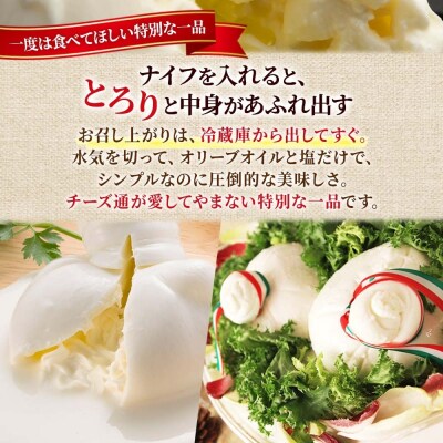 ブッラータ 125g_hs324-010