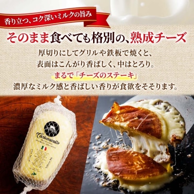 カチョカヴァッロ 500g_hs324-012