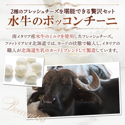 水牛と乳牛のボッコンチーニ食べ比べセット_hs324-016