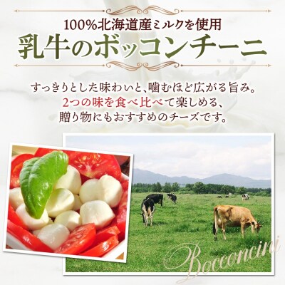 水牛と乳牛のボッコンチーニ食べ比べセット_hs324-016