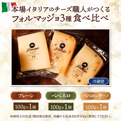 フォルマッジョ3種食べ比べ_hs324-018