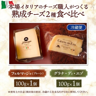 熟成チーズ2種食べ比べ_hs324-019