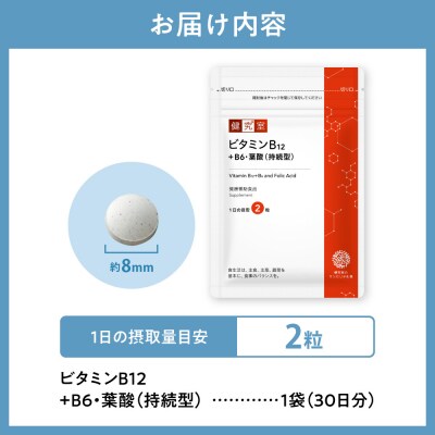 ビタミンB12+B6・葉酸(持続型)_hs456-030