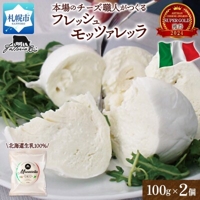 モッツァレラ 100g×2_hs324-001