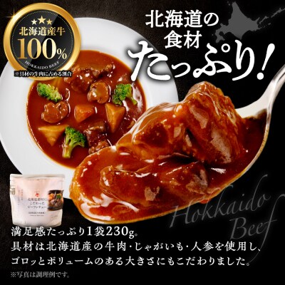 北海道産牛肉のビーフシチュー16食セット_hs489-004