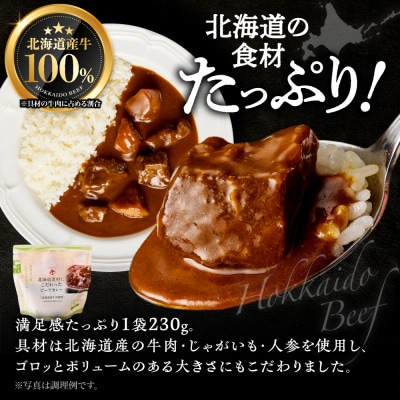 北海道産牛肉のビーフカレー16食セット_hs489-005